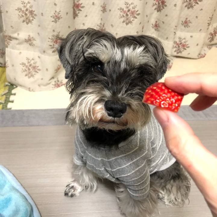 65363ab3 e5b9 4afb a51d 15ba0ef0a4aa 1586433251424