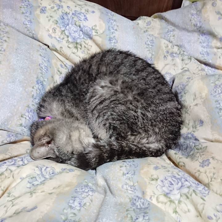 65363b76 d18c 469b a0b9 acfb5ebac9e6 1578572373541