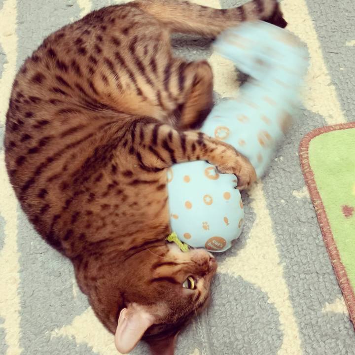 65365a4a 2b59 4c3d bbb9 f64d10d42cce 1605399236988