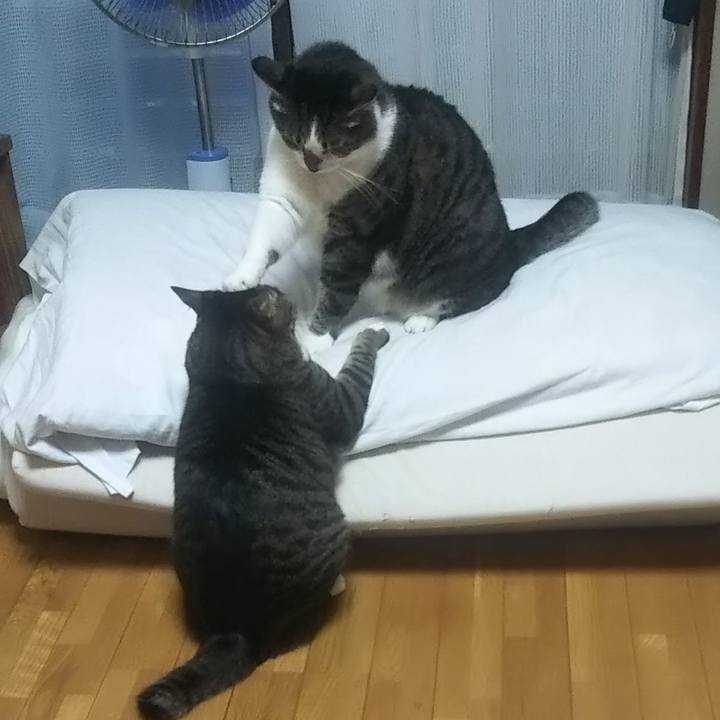 6536698f 473a 41ee bec6 e9c7215e56c7 1631608273055