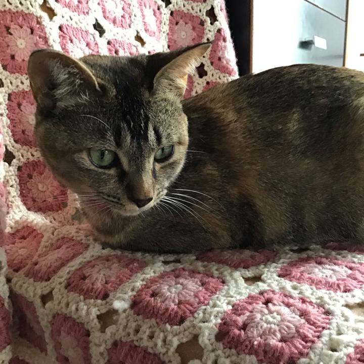 6536a5f6 7fba 42ad 8f85 de28c4f653d0 1592209036295