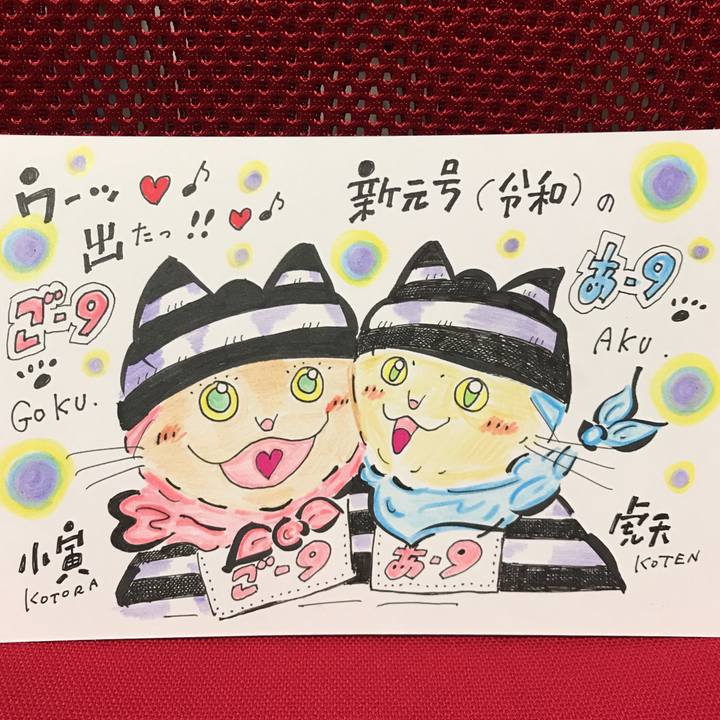 6536a9b7 45af 4f10 b027 1adf569c6a8f 1557587737872