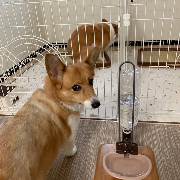 6536aefb 58ff 4025 a3fd b976aeb82eed 1563599964168