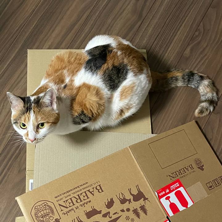 6536bf46 3053 4b67 86e6 9d6357077341 1611068281698