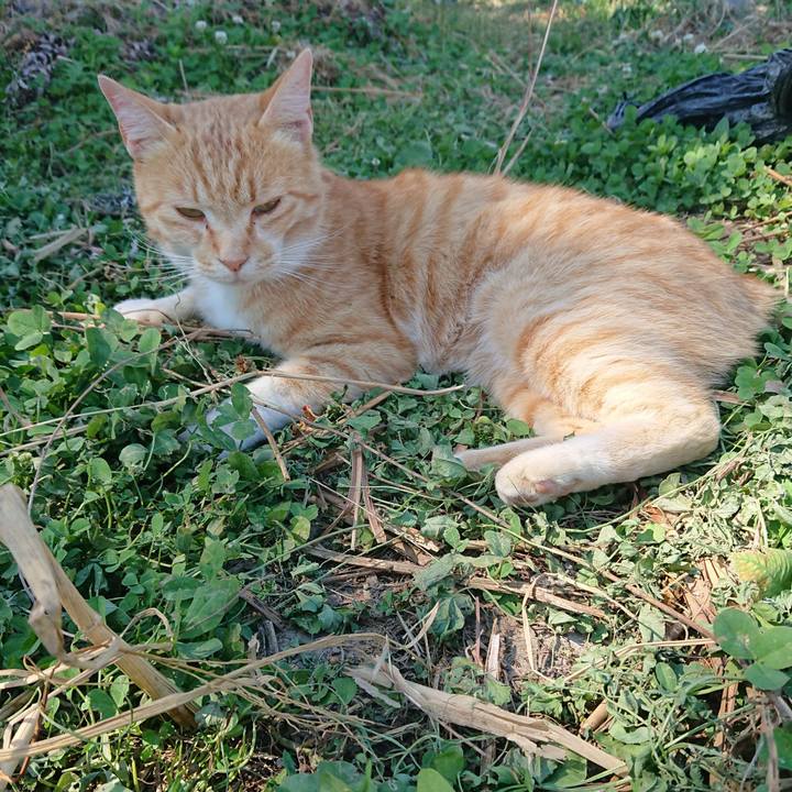 6536c406 497b 49f2 abb3 27825cde013a 1591510712921