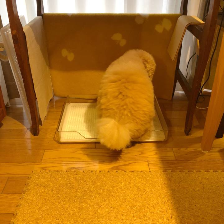 6536ecc5 5c6b 4a55 95d3 7f3c6c255615 1510356505530