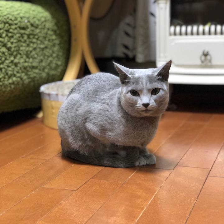 6536f4c5 a7d1 4a55 84a6 c7e3359375de 1549624796202