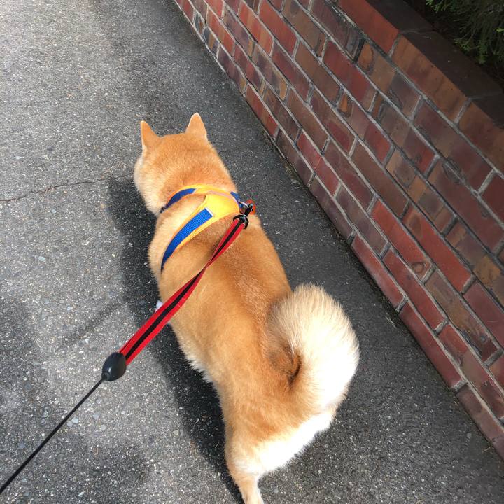 6536f937 e561 4036 b9fe ef4bf3a52f8a 1595161136496