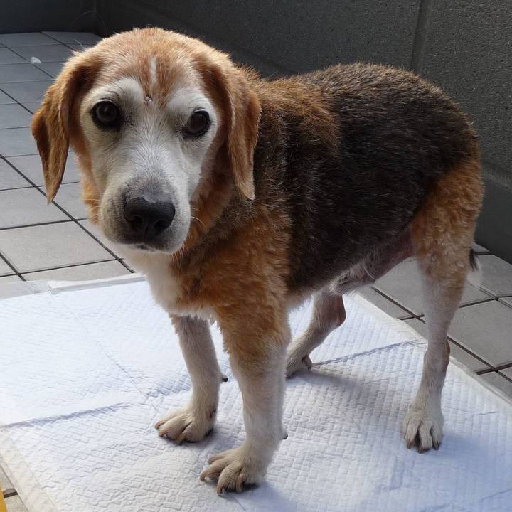 653714d8 44fa 4b20 a333 ff00efbd048a 1699146057749