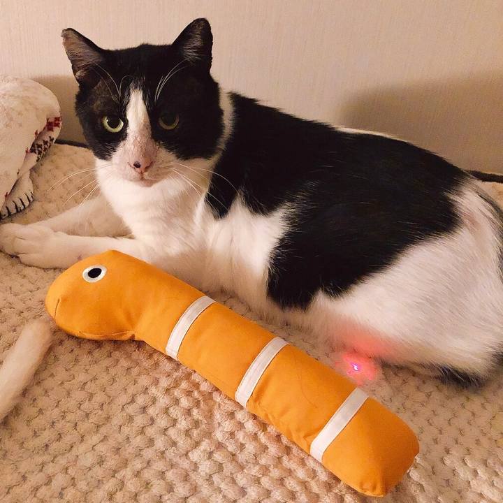 65374047 a534 498f bdeb 834659f199eb 1636377756595