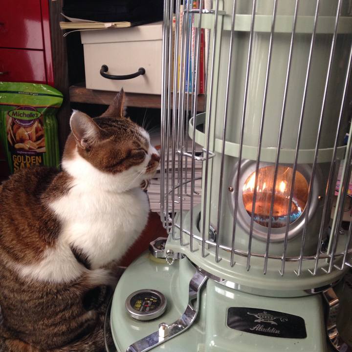 6537ad3c 4ce8 4e75 b04b e7c2c1ee800d 1518478203474