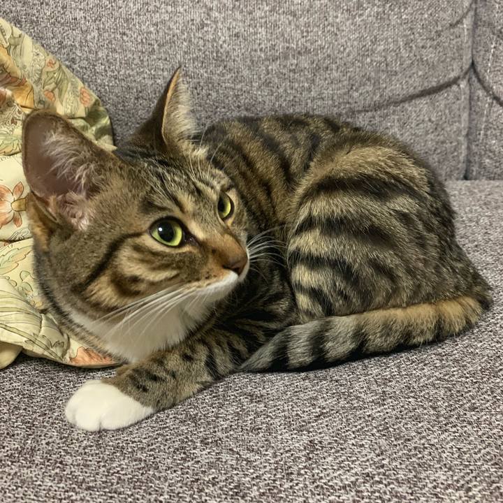 6537b063 4acd 4a34 b3aa 86d16cb9bf4e 1554795004377