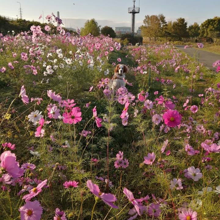 6537c222 0300 4561 8899 a2f137def464 1604981756786