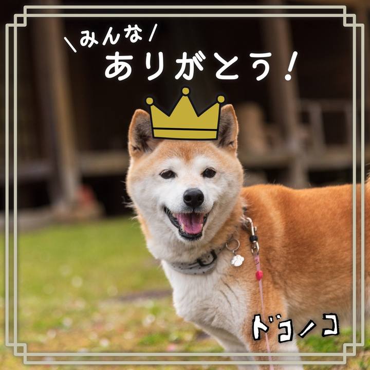 6537f999 1401 4978 a4a5 7282caba3436 1622945526804