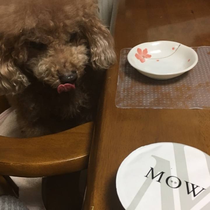 6537fa58 7beb 49cf b78e bf52477346d4 1557494059746