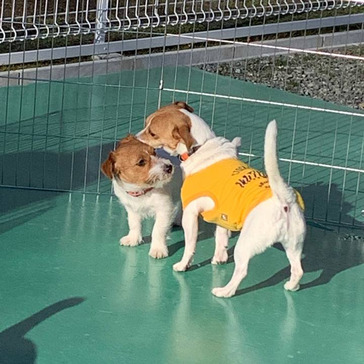 6537facf d32c 4e2e 89e7 a245060ff9bf 1579074565727