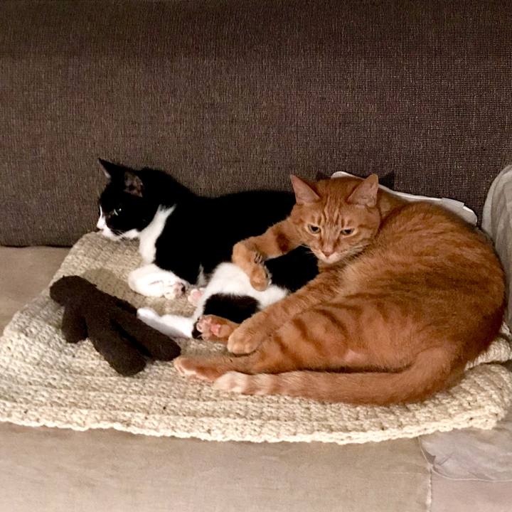 65381d58 0082 4ec6 94bf 35c23f24b94c 1527664155526