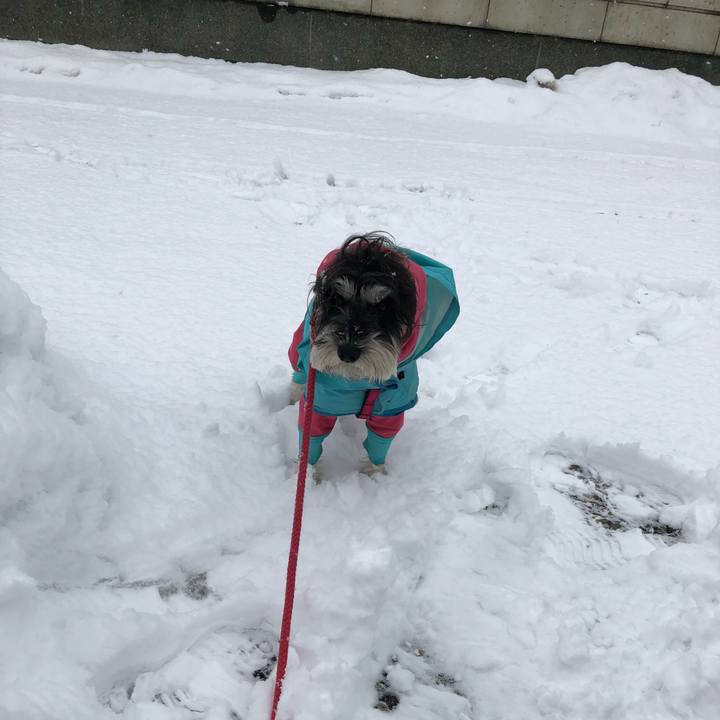 6538515e 5235 4382 99d8 1e97f1215ec5 1517710045178