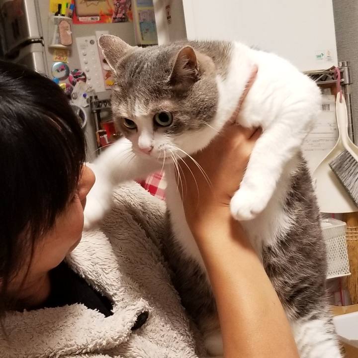 65388181 450b 4341 8820 5c21f1b7a939 1689307563026