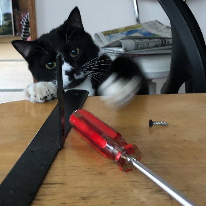 6538cfe2 6c3c 4850 8f25 be0127efd274 1528947907302