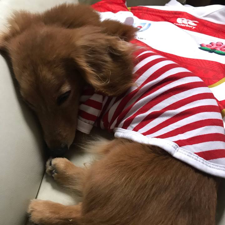 6538df57 51af 41c8 a83e c01ac84a9ec6 1570279194097