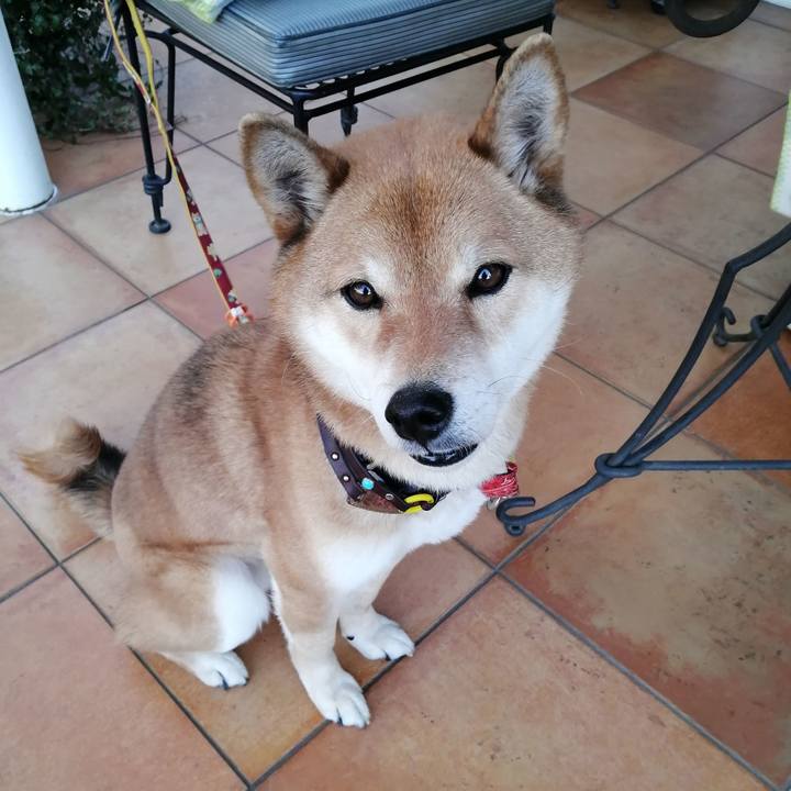 6538e534 e27b 4973 a55f cfa02d2275ac 1582552587854