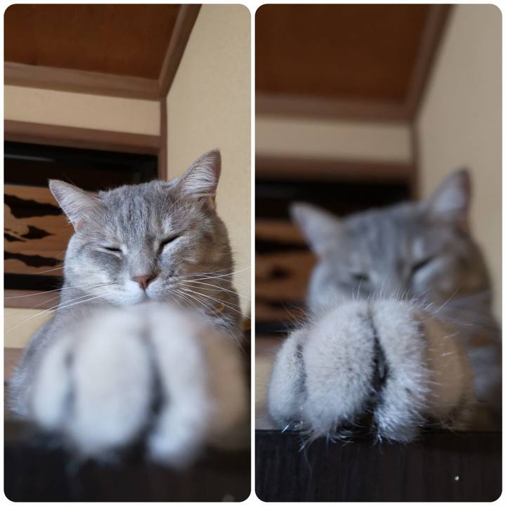 6538ebcd 463c 4fa8 a460 0b33c06178c9 1569591163270