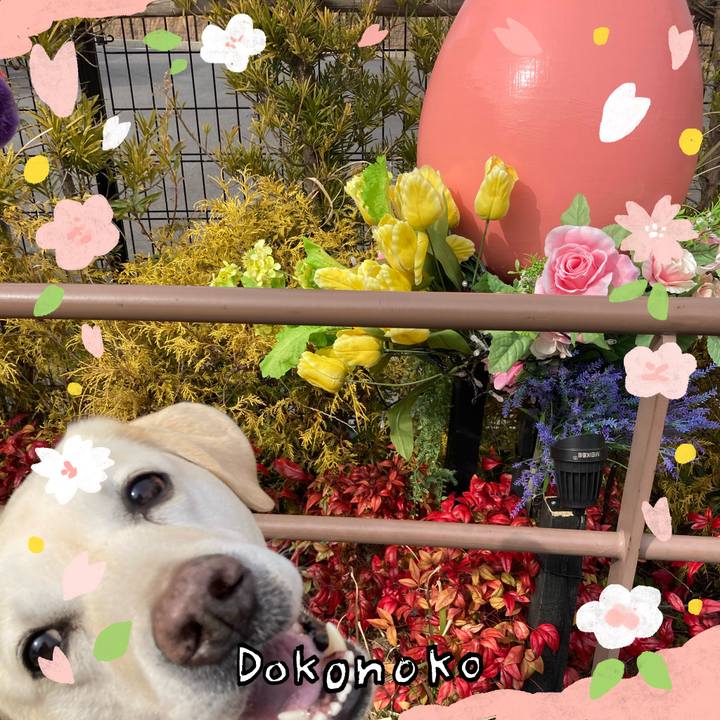 65390738 3198 4f55 bfb5 2bf4fae43866 1710992144059