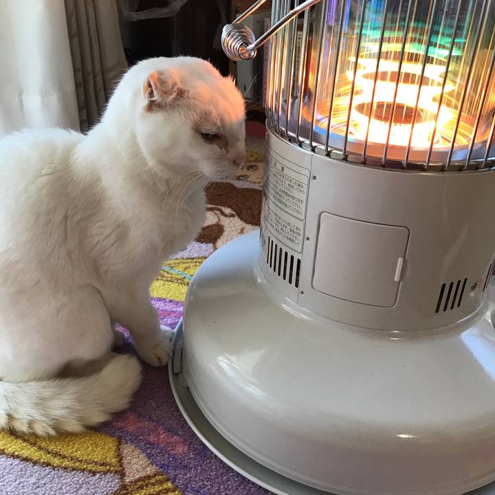 6539719d a84b 42df 8602 6fa052dfdb9d 1517295767612