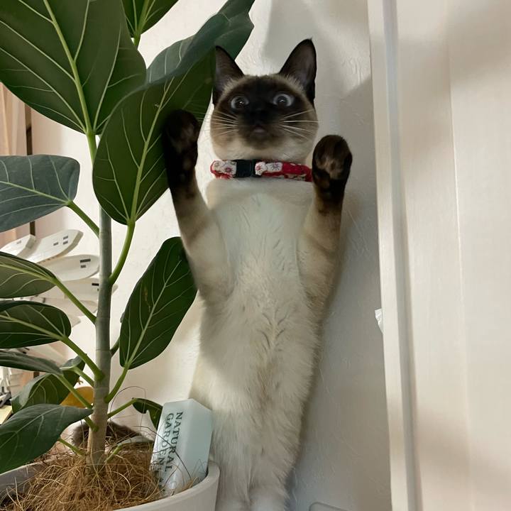 6539a66c c6fe 4a5c aff8 f2f48b1bb1e2 1706384261635