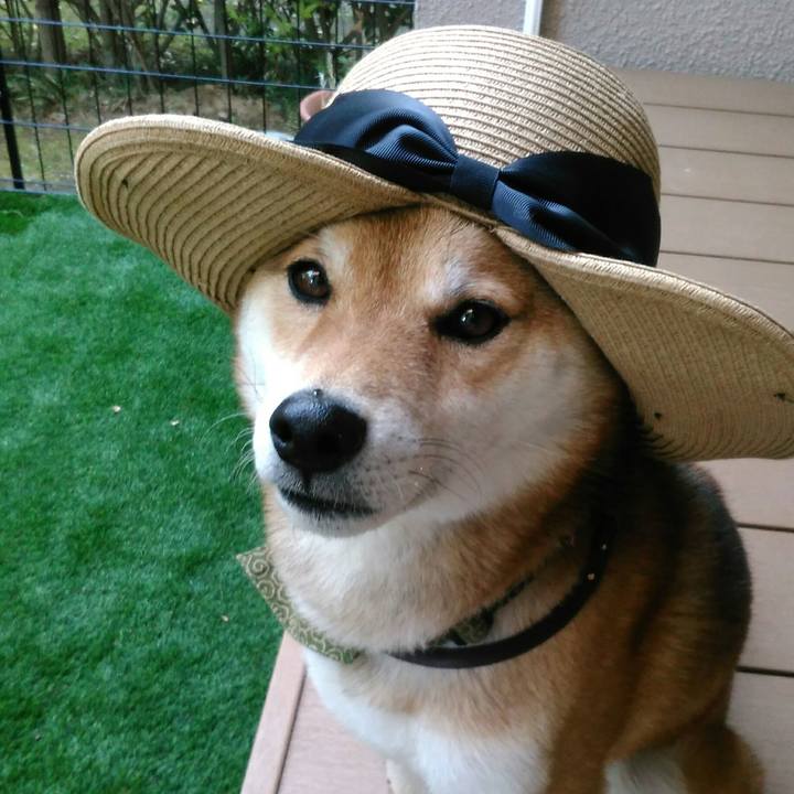 6539d7a0 9d99 4219 ac97 30218ce67318 1524215746456