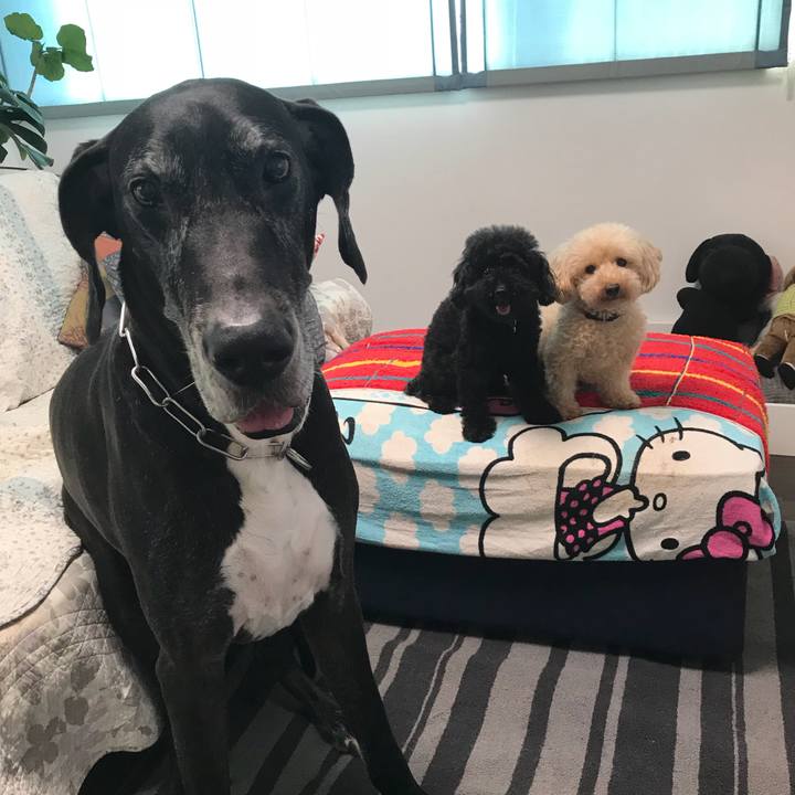 653a23cd 1b9e 412c b93d c382cbf0f874 1536100066494