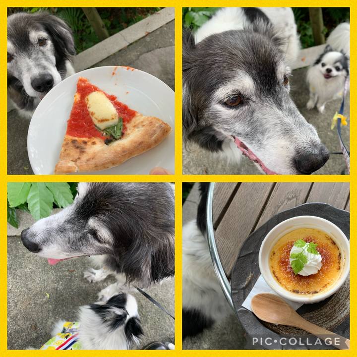 653a8bbb fef1 4fbf 9632 b6b474343926 1654779897682