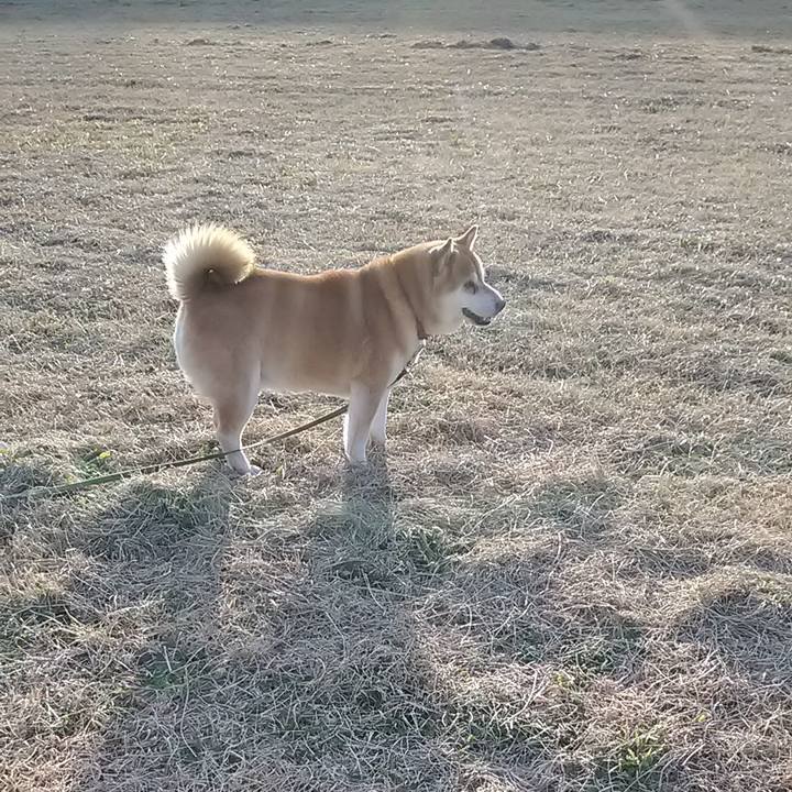 653a8f02 1110 4902 9299 35da846bebe3 1676711702118