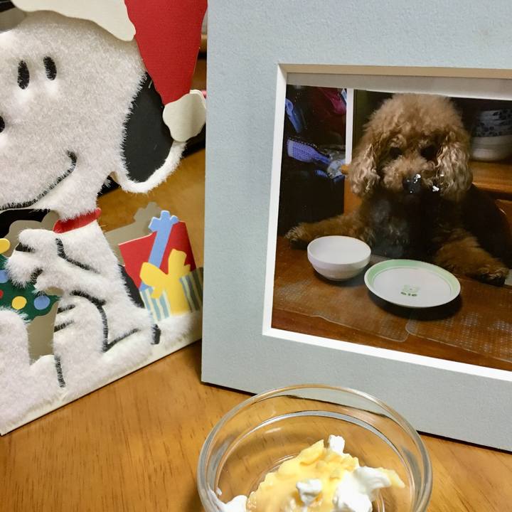 653aaac2 0861 4100 a66b acedf0b8f5f5 1577279499383