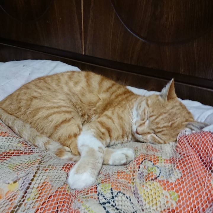 653ac506 3a0e 441f ad36 63632adbcbeb 1586261288867