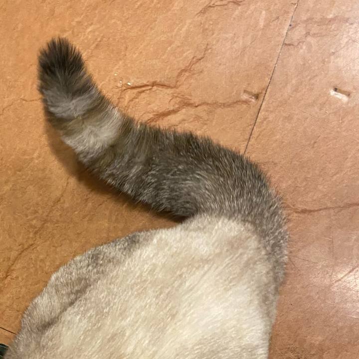 653ad501 9bd3 4727 b004 1e06afab30a1 1699863077989