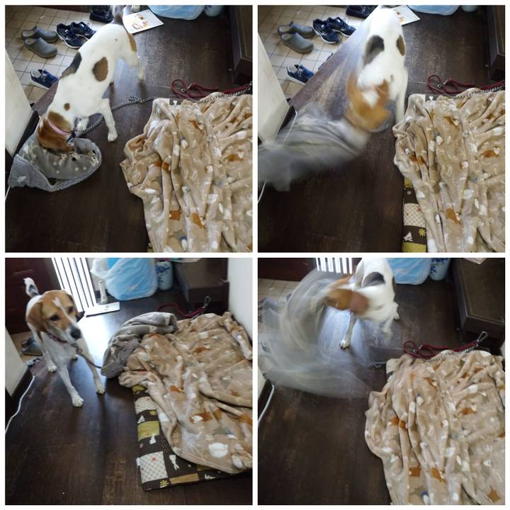 653ae082 7eb5 470e b9e8 2ef436695bb3 1585815357418