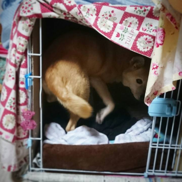 653ae3f4 aaee 495a 8d66 09ee088698fc 1572093992379