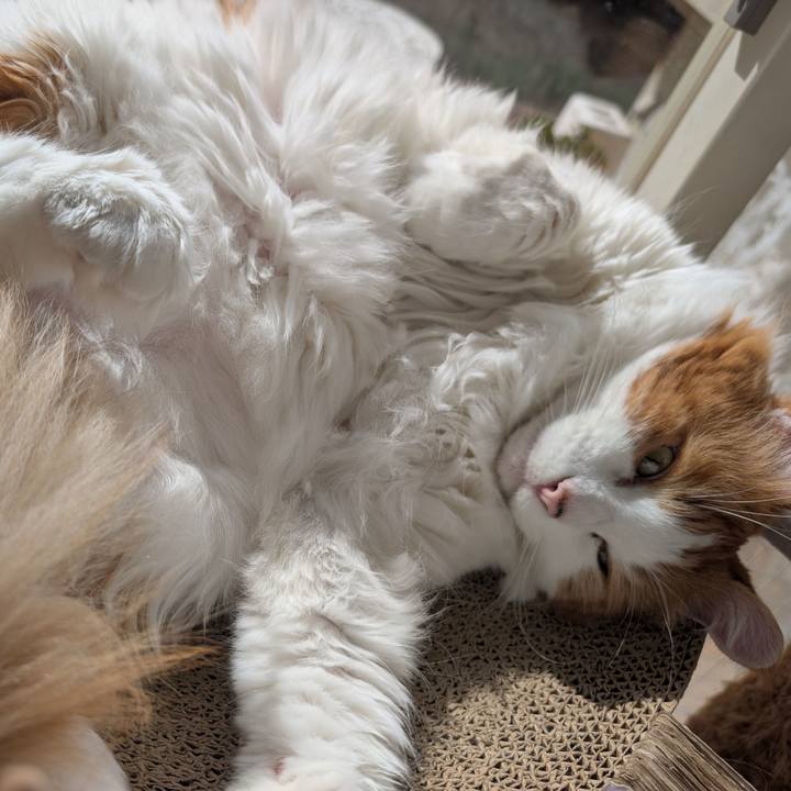 653af67e 5a6c 4224 a0d1 0225cd2e936d 1761622140761