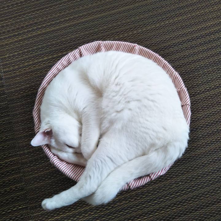 653b3624 a659 4952 8dd5 fbdf795cb2d6 1563103540284