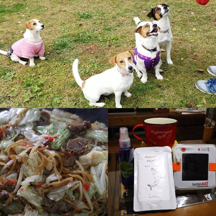 653b3a40 5e98 473d 982e 9244ad6ac2b8 1544153628359