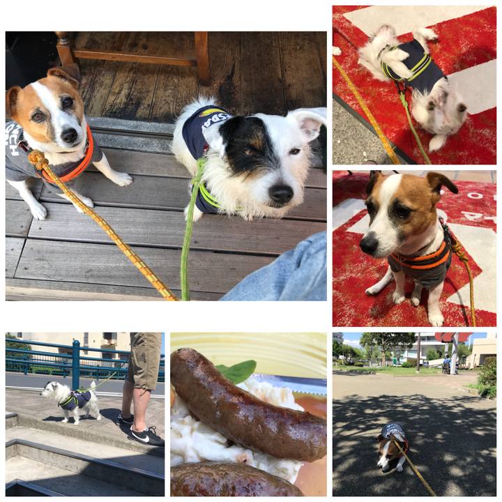 653b42f5 a147 48de a3f7 7d316933a65b 1525418757129