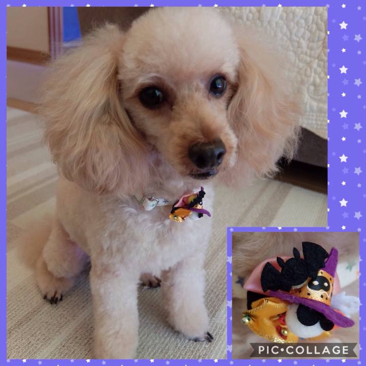 653b8127 18c1 4cdf 8701 87a86a3728f3 1540006777098