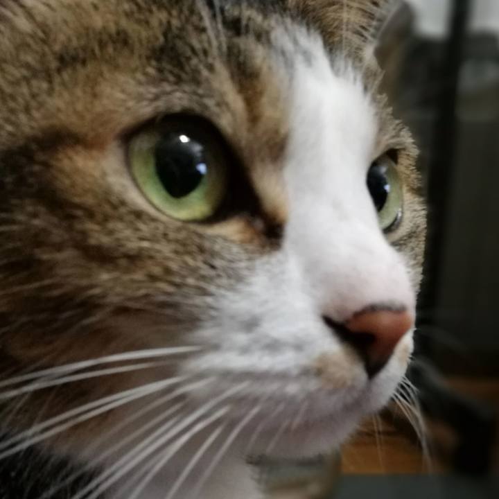 653b972b e0d1 41e8 a312 c48861b0f54f 1511089694135