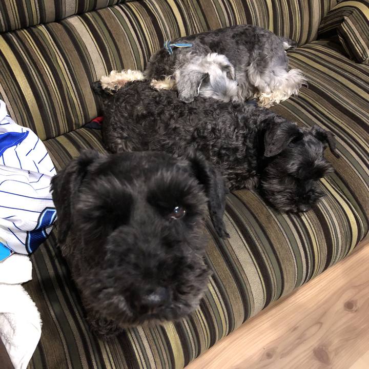 653bbf30 f8d6 4be7 8752 5ecf3ae1d499 1524689215284