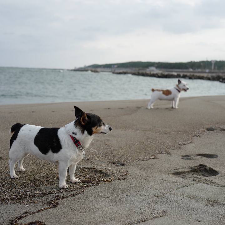 653c004d 0d53 4226 9d3e b9060f7f5f33 1541909463026