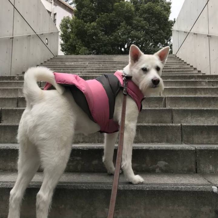 653c6953 9443 4725 9dbd 71aa46ea1bfe 1768984392133