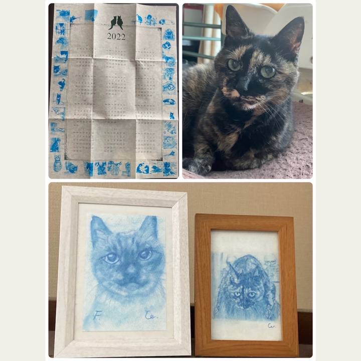 653c6c5c 12d4 418a 9700 b0be4cca0c45 1650164793987