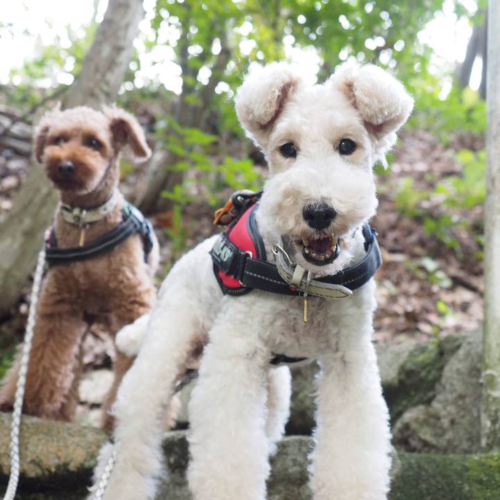 653c7804 d32f 4fd8 a41a 02feb7f011e9 1604127498383